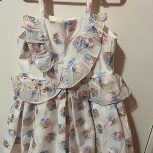Janie and jack embroidered dress